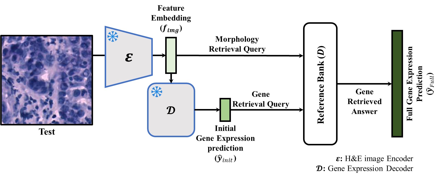GeneRAG framework overview: a frozen encoder and decoder produce a hybrid query that retrieves from a pre-constructed Reference Bank.